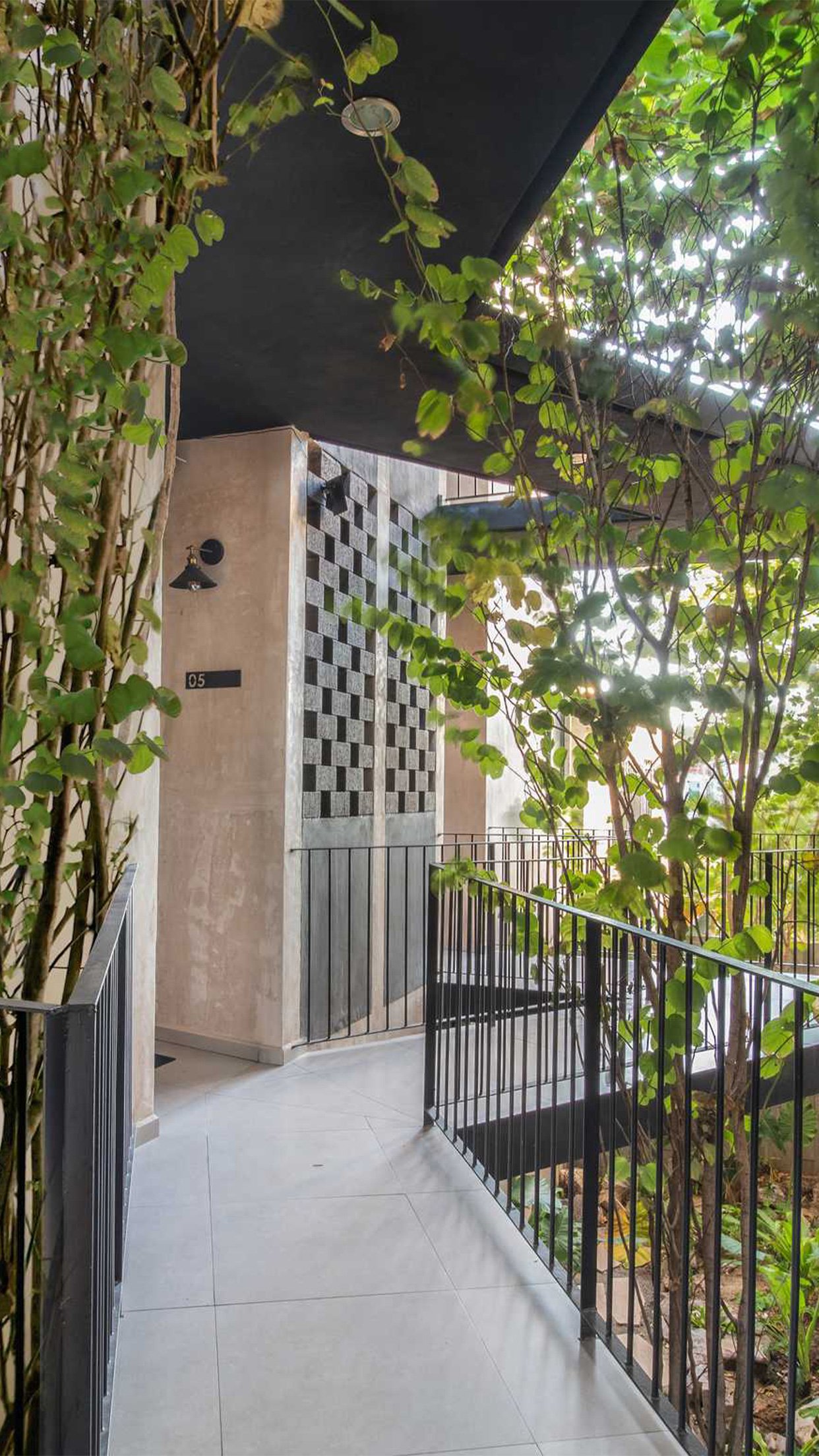 12. P Lomas paseo arboles