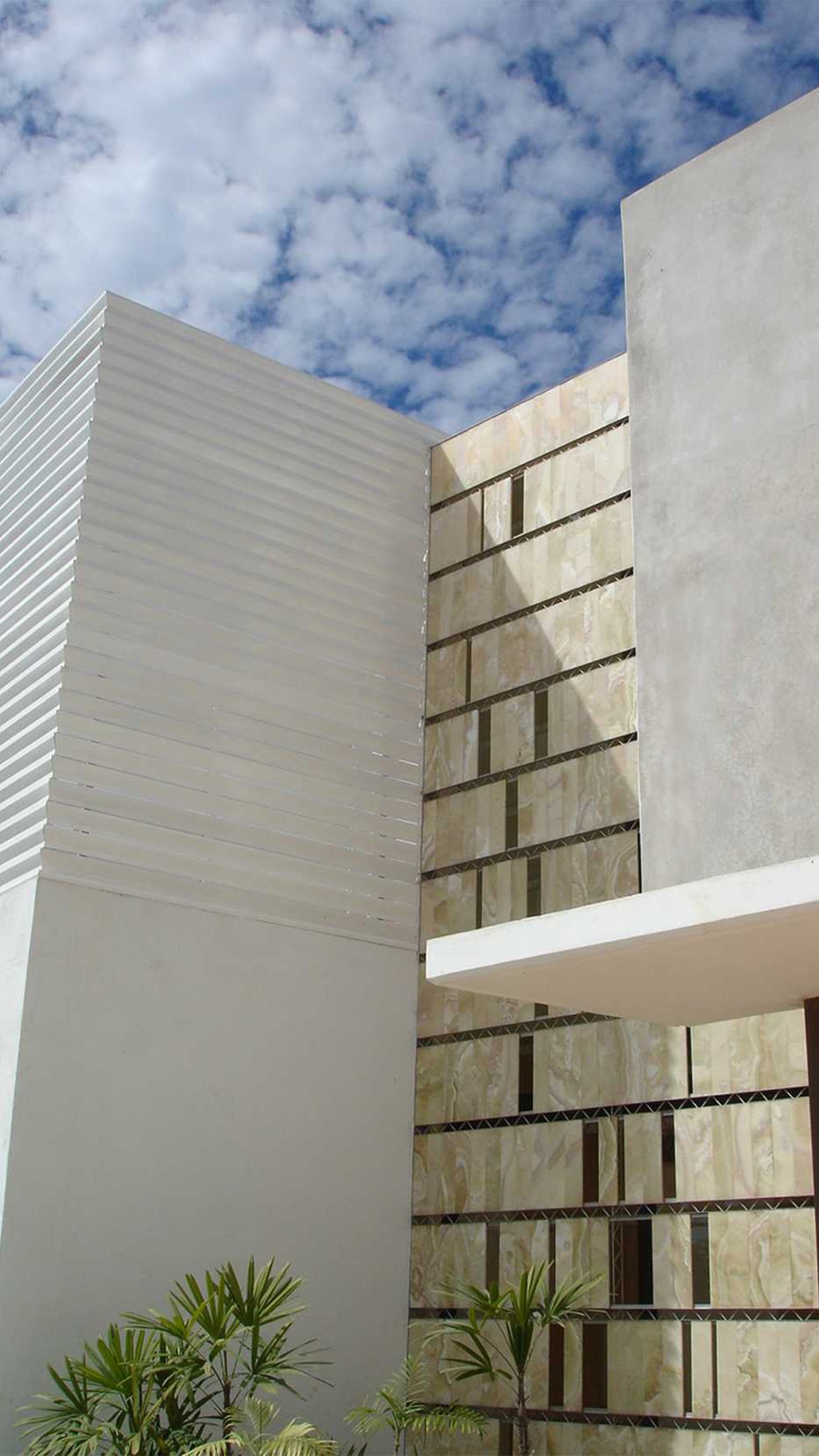 21. Palapa frontal detalle