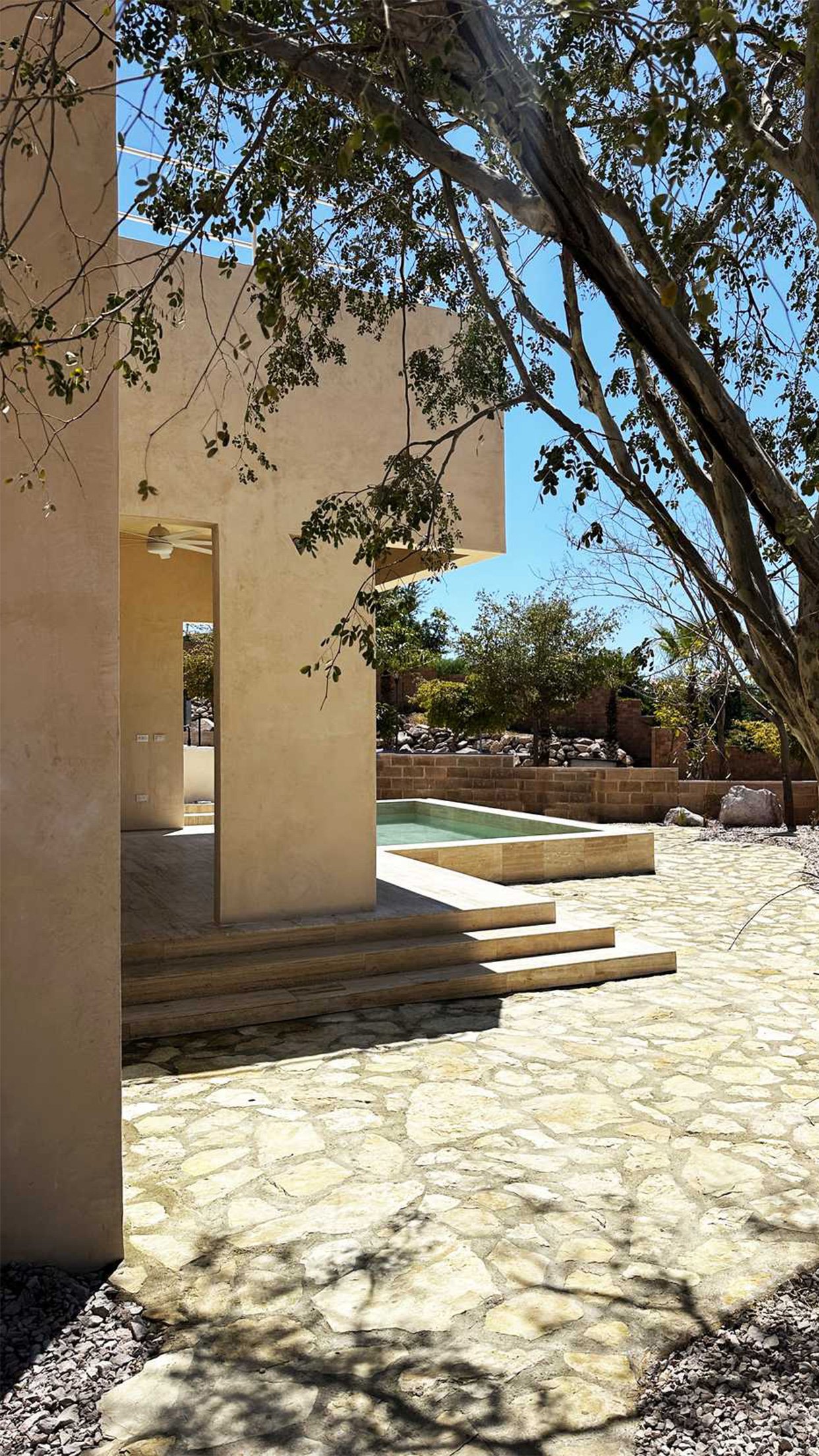 34. Cielo pasillo arbol